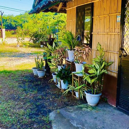 Casa De Flores Alaminos Luaran gambar