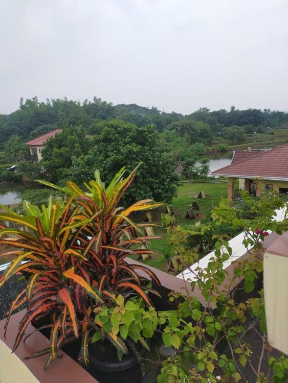 Casa De Flores Alaminos Luaran gambar