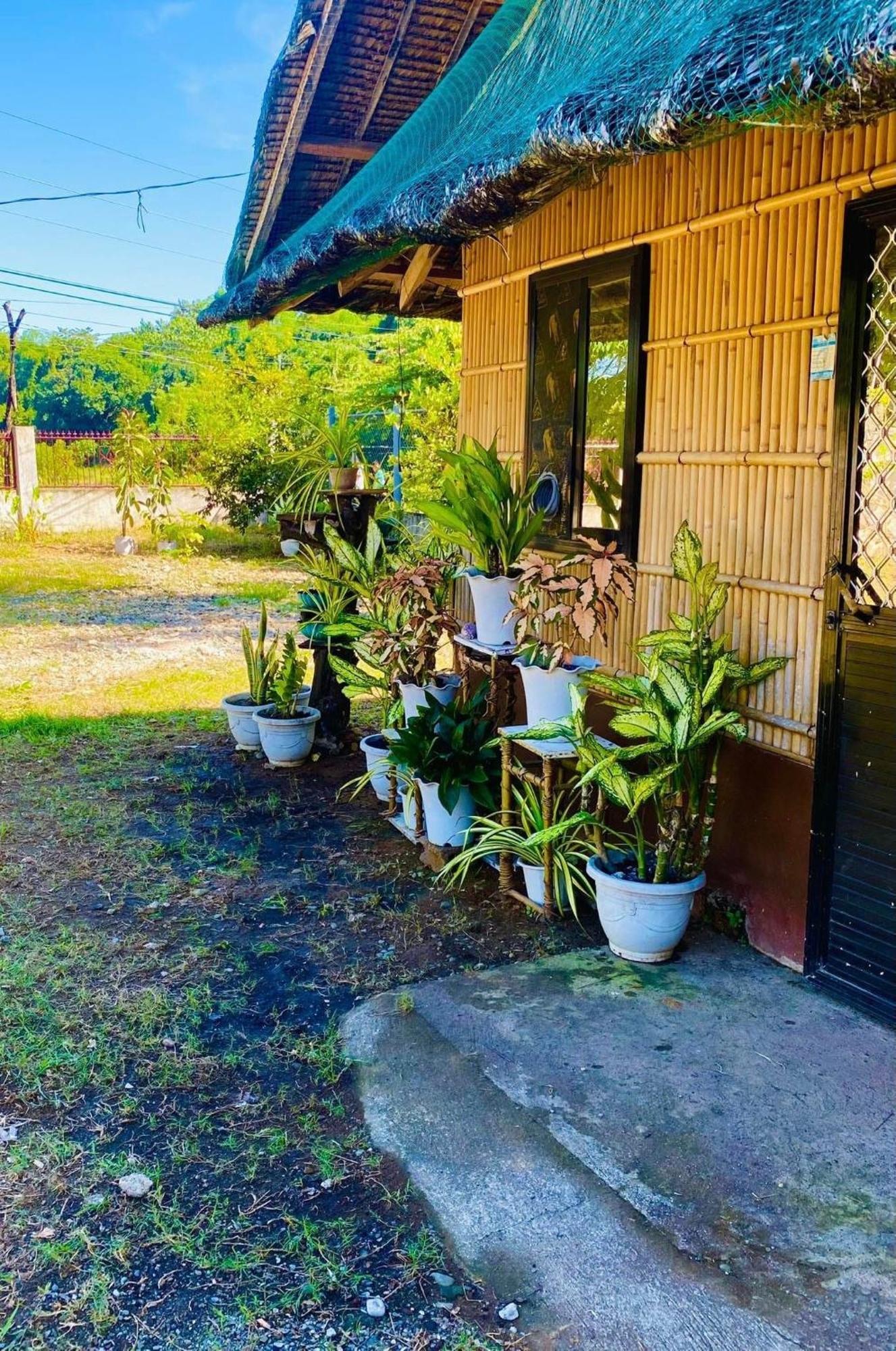 Casa De Flores Alaminos Luaran gambar